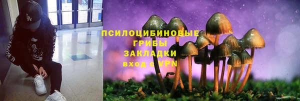 метадон Арсеньев