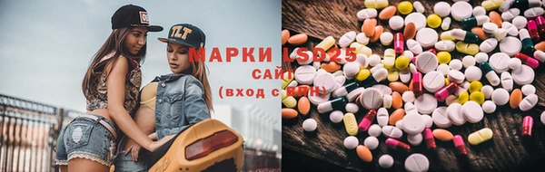 крисы Баксан