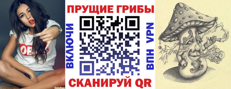 Галлюциногенные грибы Psilocybine cubensis Таруса